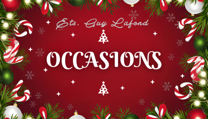 OCCASION LAFOND BORDEAUX BROTHER BABYLOCK ELNA