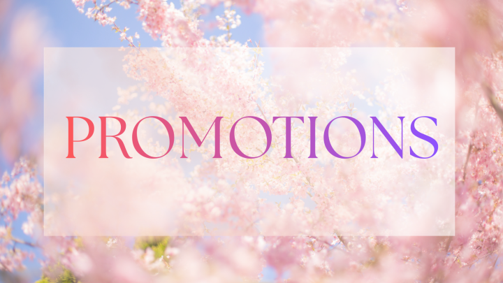 PROMOTION  BORDEAUX BABULOCK BROTHER ELNA