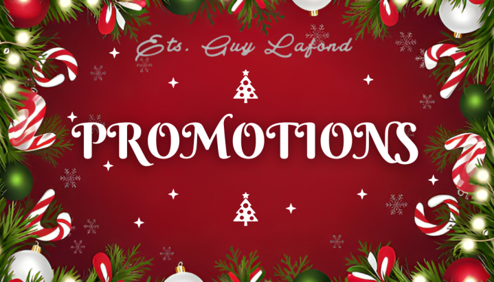 PROMOTION  BORDEAUX BABULOCK BROTHER ELNA