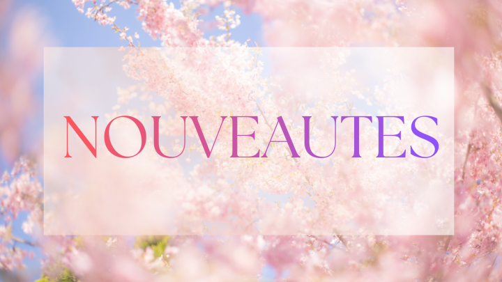 NOUVEAUTES LAFOND BORDEAUX BROTHER BABYLOCK