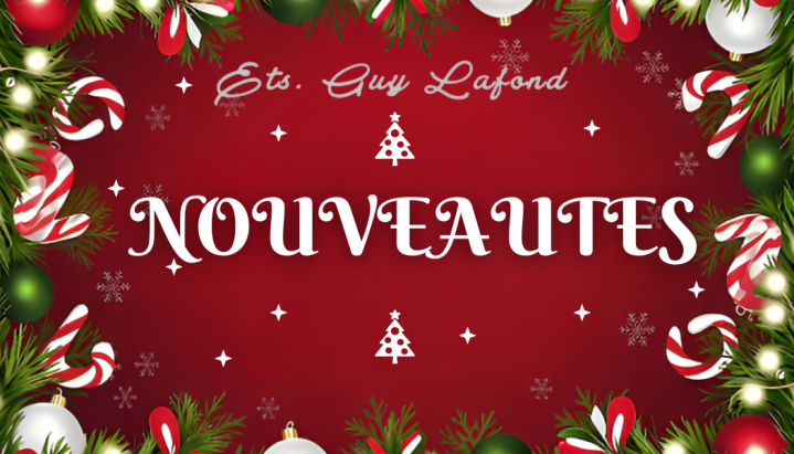 NOUVEAUTES LAFOND BORDEAUX BROTHER BABYLOCK