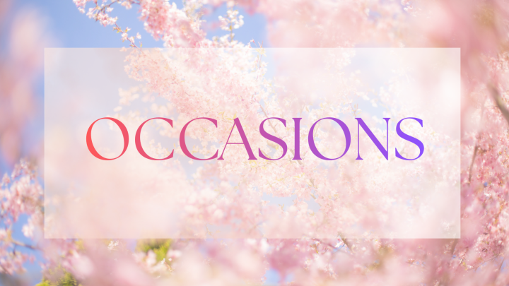 OCCASION LAFOND BORDEAUX BROTHER BABYLOCK ELNA