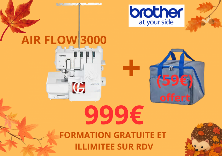 SURJETEUSE BROTHER AIR FLOW 3000 BORDEAUX AQUITAINE