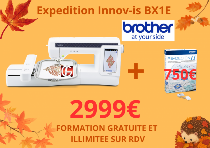 BX1E BROTHER MACHINE A COUDRE BORDEAUX AQUITAINE