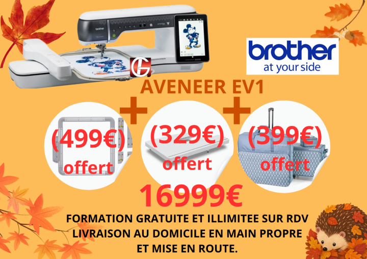 EV1 AVENEER BROTHER MACHINE A COUDRE BORDEAUX AQUITAINE